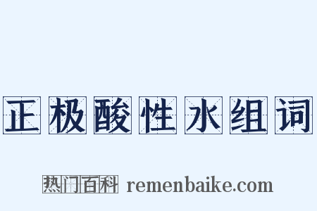 正极酸性水组词是什么意思的图片